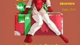 Le Gala De Noel