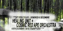 Healing Unit + Cosmic Red Ape Orchestra