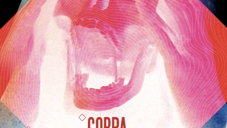 New noise in france #2 : Cobra + extreme precautions + guests