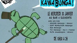 Kawabunga
