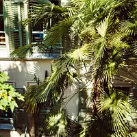 L'Eldorado