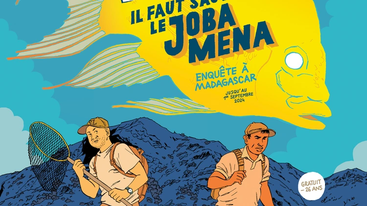 Il faut sauver le Joba Mena : enquête à Madagascar