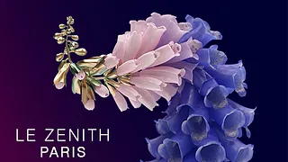 Flume World Tour / Zénith Paris