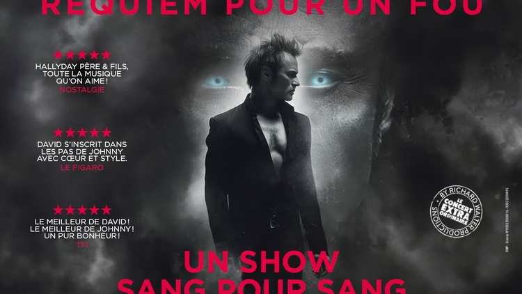 DAVID HALLYDAY, Requiem pour un fou