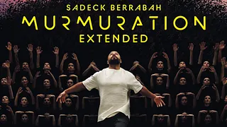 Murmuration Extended