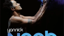 Yannick Noah en concerts