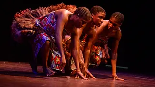 Concert du groupe Ndima  - Moaka na ndima ou l'Homme et la forêt