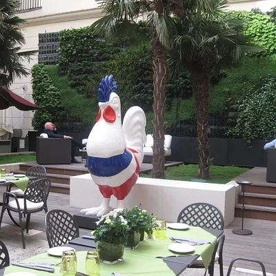 Du bio et du vert dans le patio de l'hôtel Lotti