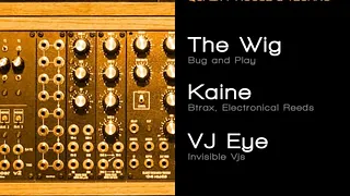 Analog avec The Wig, Kaine et Vj Eye