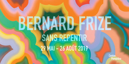 Bernard Frize - Sans Repentir
