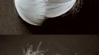 Ballet de l'Opéra national du Rhin / Radhouane El Meddeb "Le lac des cygnes"