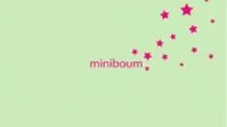 Miniboum