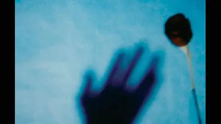 Silent Servant - Ceremony