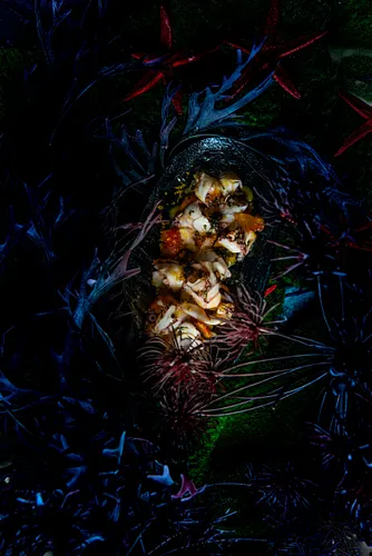 Under the sea Restaurant Issy-les-Moulineaux