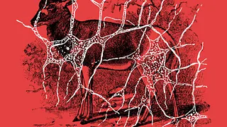 Radio Campus Paris : San Carol + Alex June + Ether&Crac Djset