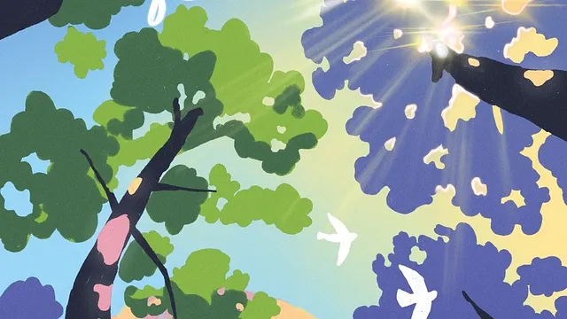 Du 5 au 21 juin 2026, le festival Les Nuits des Forêts revient partout en France