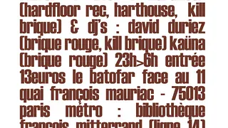 BRIQUE ROUGE label nite #3 avec Hardfloor_live