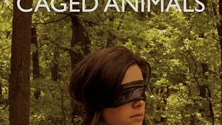 Caged Animals en concert