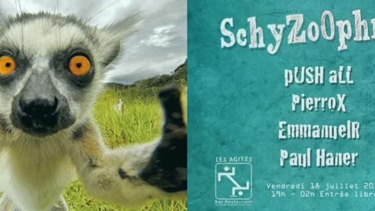 SchyZoOphrénic #10