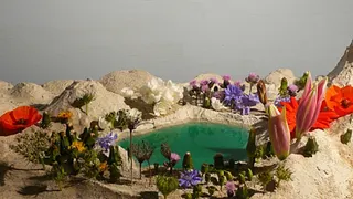 Clément Richem - Les Modules - Fondation Pierre Bergé - Yves Saint Laurent