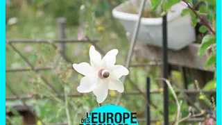 Enfant : Fabrication d'un moulin à vent