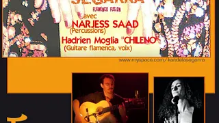 Kandela Segarra --Flamenco Fusion