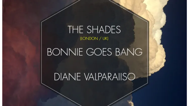 AgoraFrog Party #4 w The Shades, Bonnie goes bang & Diane Valparaiiso