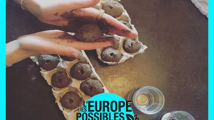 Fabrication de Seed Bombs