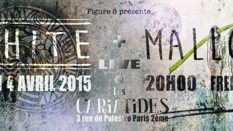 Ophite en concert