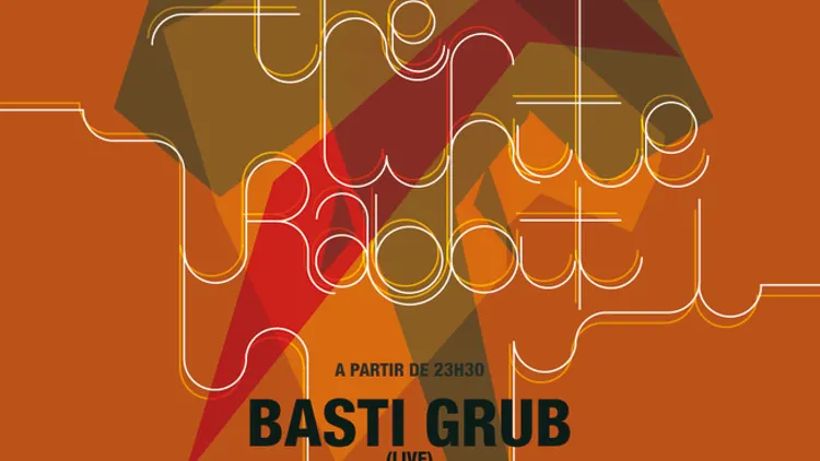 FOLLOW THE WHITE RABBIT - BASTI GRUB