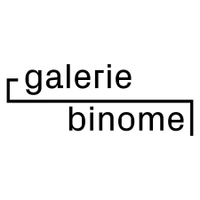 Binome G