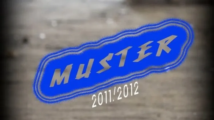 Muster #7