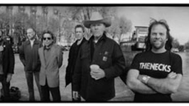 Swans & pharmakon