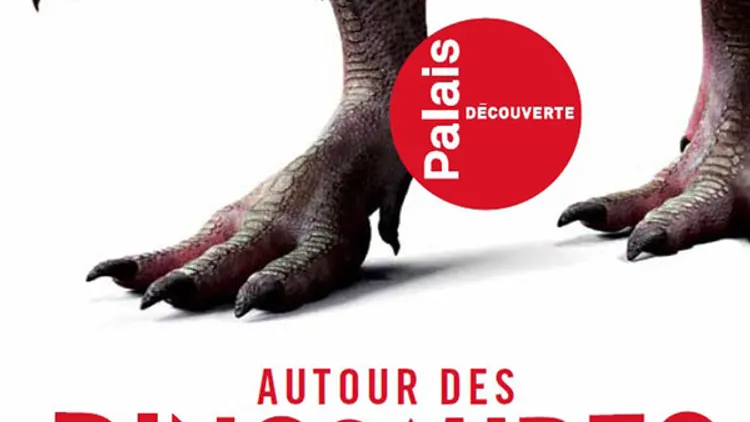 Autour des dinosaures