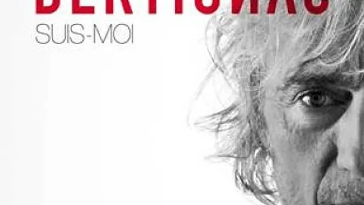 Louis Bertignac en concert