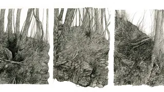 PÉTRICHOR, le Solo Show de l'illustratrice Lucille Clerc