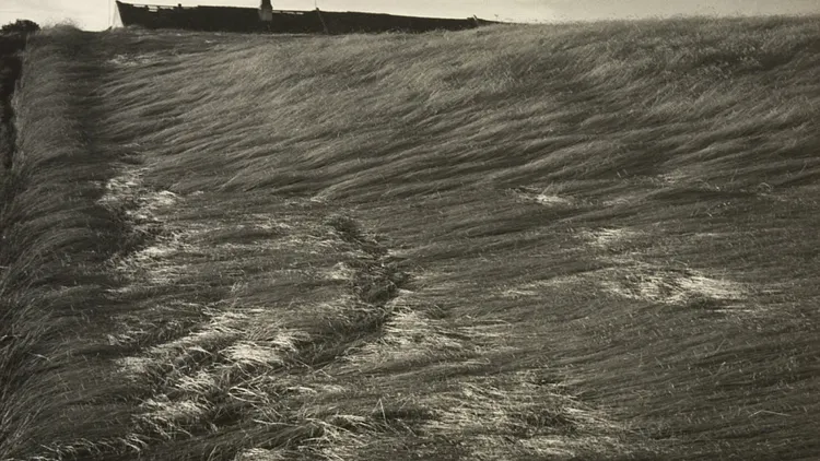 Maîtres de la photographie tchèque d’avant-garde