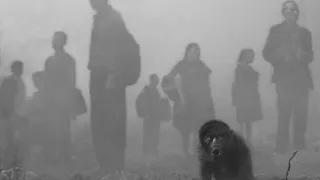 Expostion "The Day May Break : Chapitre 2" - Nick Brandt