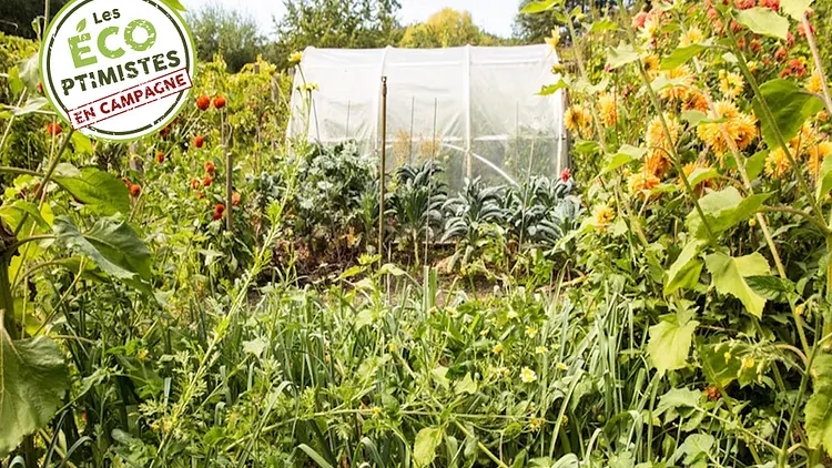 Initiation à la permaculture