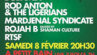 Alternative Reggae Party 6