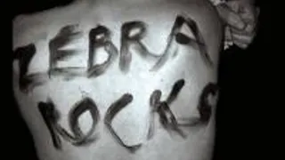 Zebramix