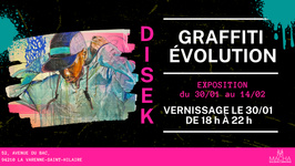 GRAFFITI EVOLUTION — Disek