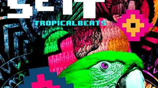 COCOSETT TROPICAL BEATS