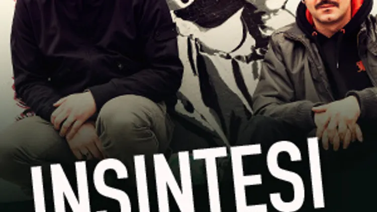Insintesi