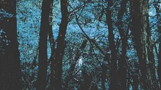 No Mountains • Sophie oZ • George Random // Supersonic - Gratuit