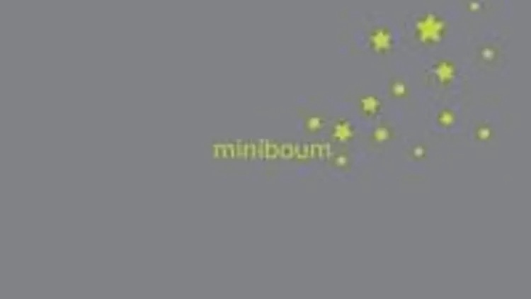 Miniboum