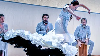 "Creaviva" de Rafaela Carrasco