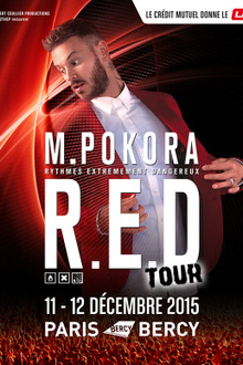 M Pokora en concert