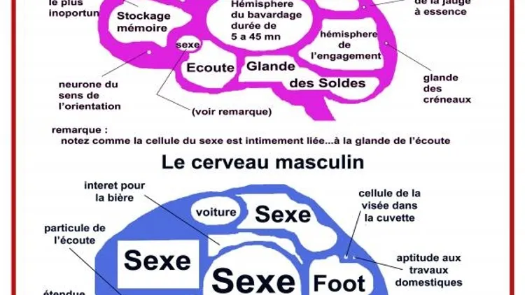 Homme femme mode d'emploi couple