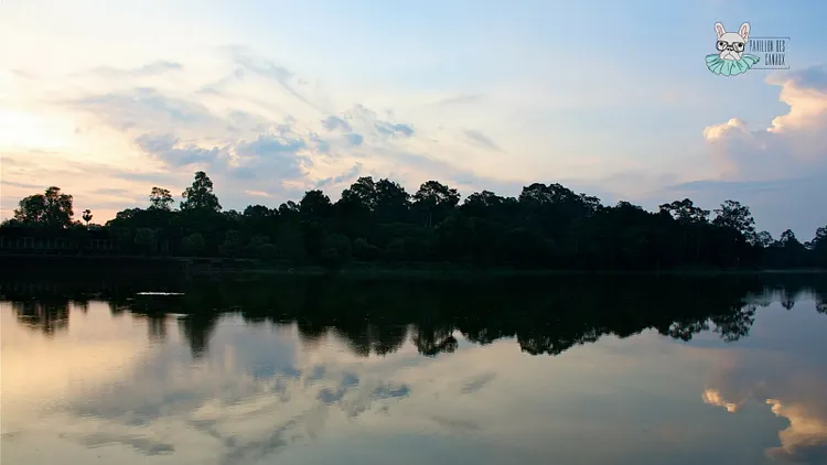 Afterwork Sophrologie Mindfulness